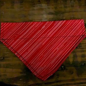 Small over collar dog bandana